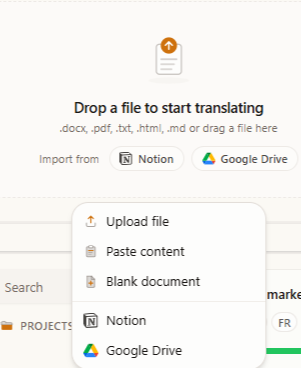 The import dialog showing upload, paste, Notion, and Google Drive options.
